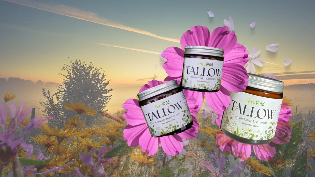 Kāpēc tieši liellopu tauki jeb tallow?